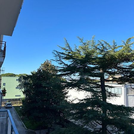 B&B Serangi - Il Piacere Di Sentirsi A Casa Cercola Buitenkant foto